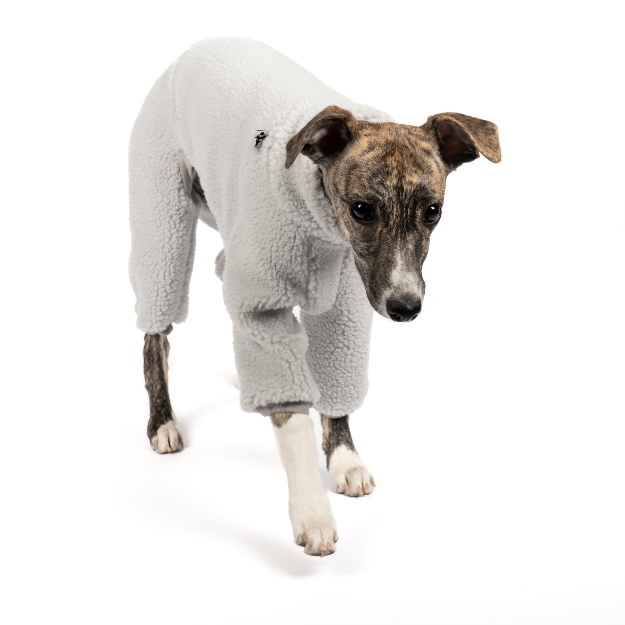 Teddy Overall Windhund Light Grey – Hund in Bewegung – bequeme Hundekleidung für Windhunde