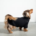Load image into Gallery viewer, Teddy Pullover Dackel Schwarz – Hundekleidung für Dackel, Windspiele und Whippets – Rückenansicht
