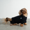 Load image into Gallery viewer, Teddy Pullover Dackel Schwarz – optimale Passform für Windhunde, Whippets und Dackel
