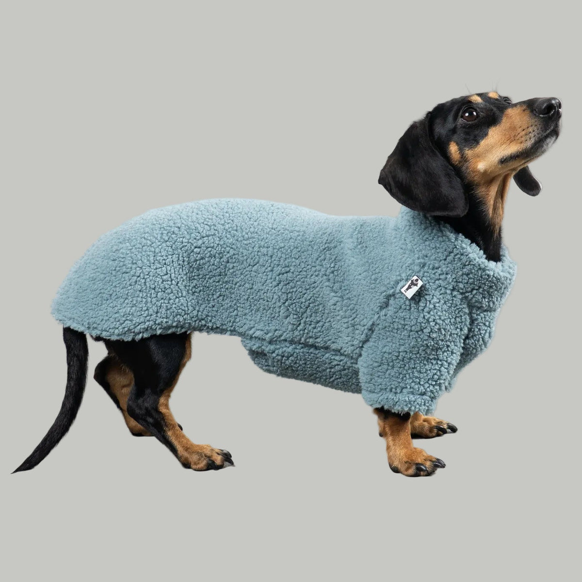 TEDDY PULLOVER Dackel Eisblau