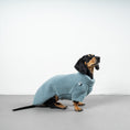 Load image into Gallery viewer, TEDDY PULLOVER Dackel Eisblau
