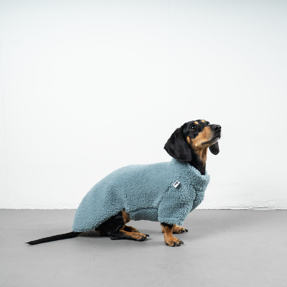 TEDDY PULLOVER Dackel Eisblau