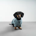 Load image into Gallery viewer, TEDDY PULLOVER Dackel Eisblau
