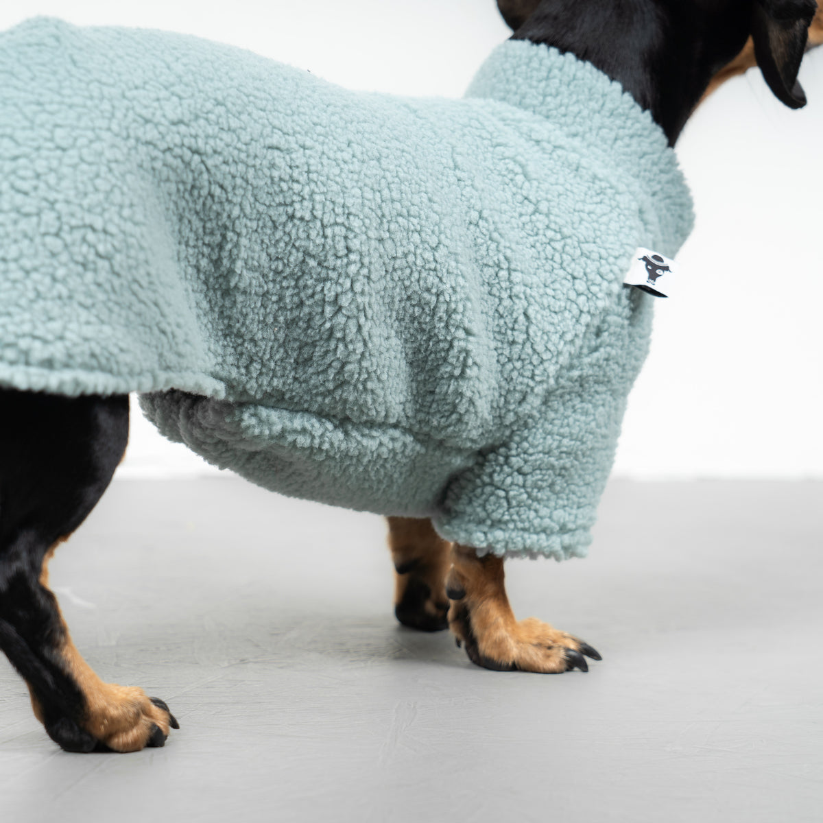 TEDDY PULLOVER Dackel Mintblau