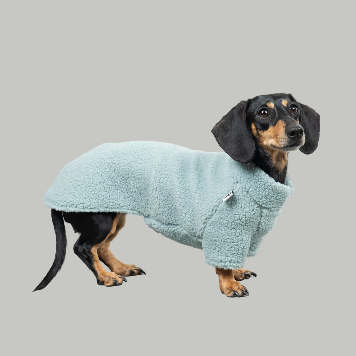 TEDDY PULLOVER Dackel Mintblau