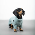 Load image into Gallery viewer, TEDDY PULLOVER Dackel Mintblau
