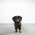 Load image into Gallery viewer, TEDDY PULLOVER Dackel Olivgrün
