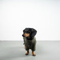 Load image into Gallery viewer, TEDDY PULLOVER Dackel Olivgrün
