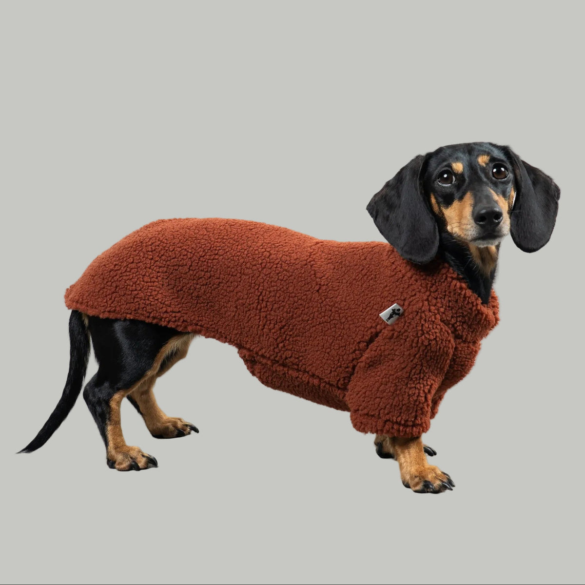 TEDDY PULLOVER Dackel Rostbraun