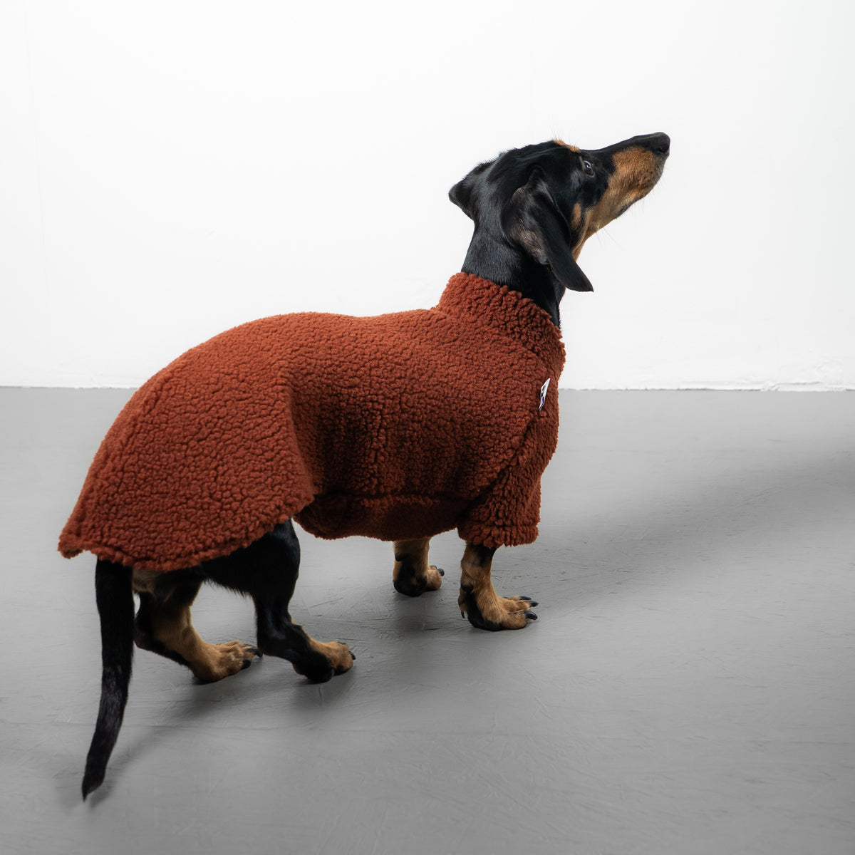 TEDDY PULLOVER Dackel Rostbraun