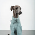 Load image into Gallery viewer, TEDDY PULLOVER Iggy Mintblau
