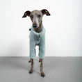 Load image into Gallery viewer, TEDDY PULLOVER Iggy Mintblau
