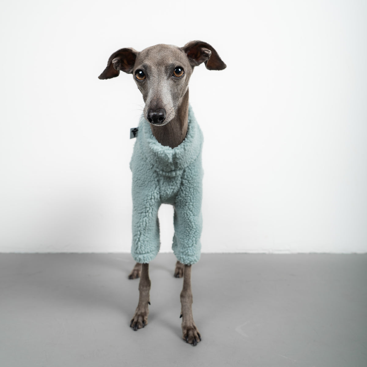 TEDDY PULLOVER Iggy Mintblau