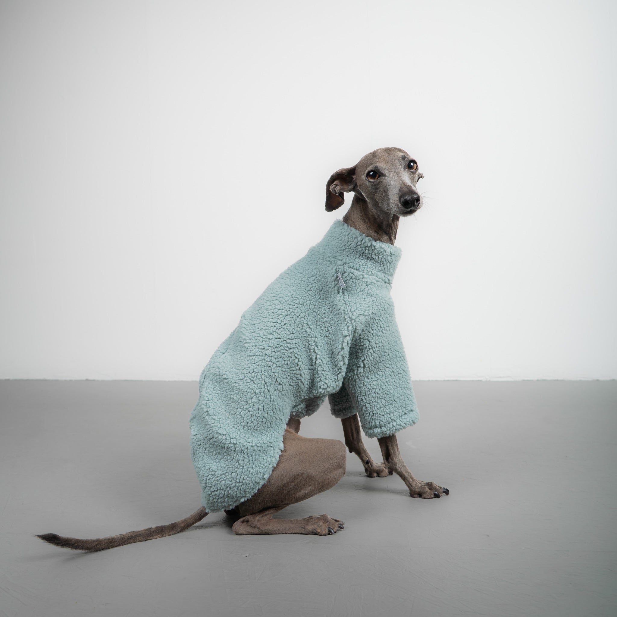 TEDDY PULLOVER Iggy Mintblau