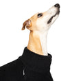 Load image into Gallery viewer, Teddy Pullover Windhund Schwarz – Close-up am Hund – hochwertige Hundekleidung von Karma Hund
