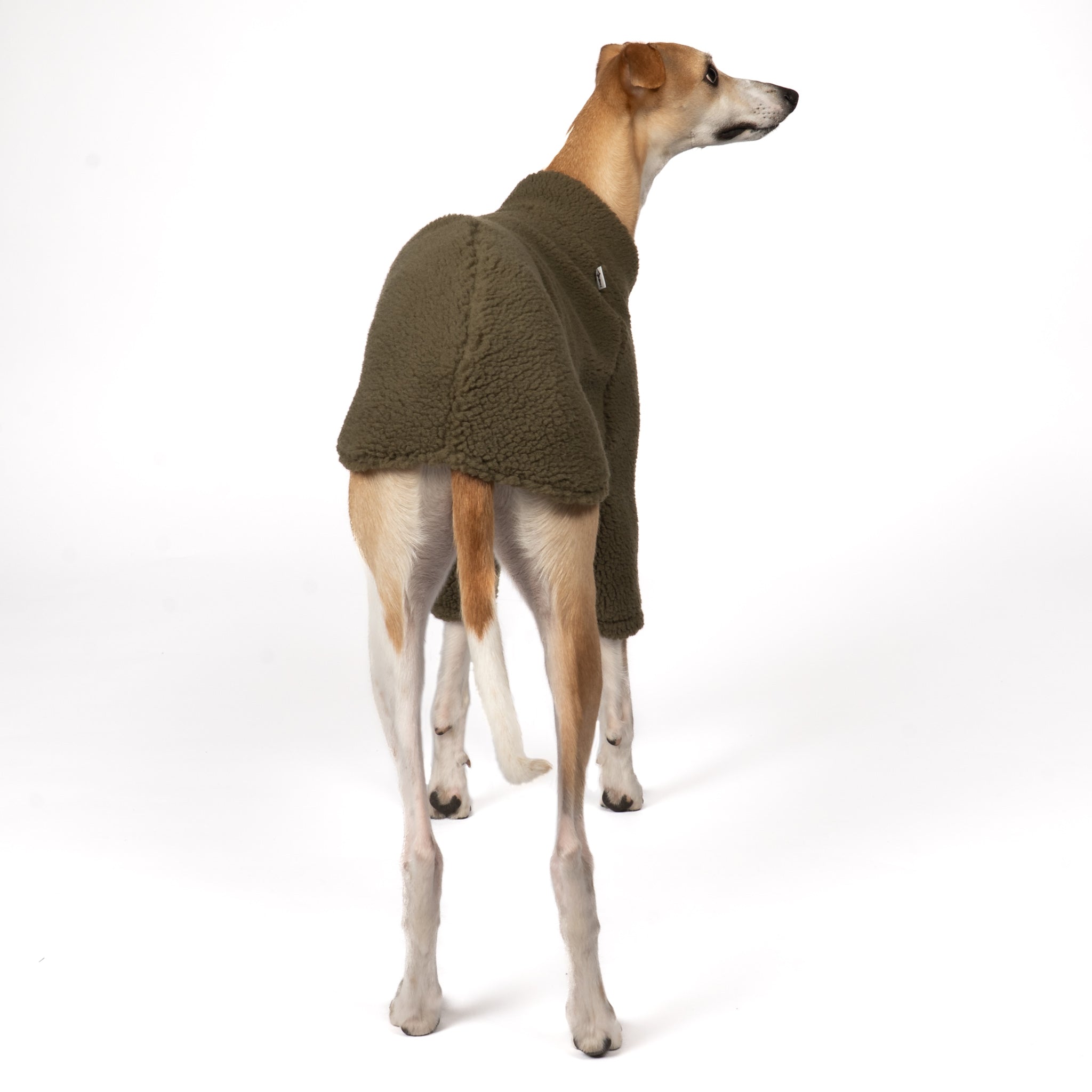 Teddy Pullover Windhund Dark Olive – Hundekleidung für Dackel, Windspiele und Whippets – Rückenansicht