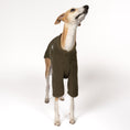 Load image into Gallery viewer, Teddy Pullover Windhund Dark Olive – ergonomischer Schnitt für Dackel und Windhunde – handgefertigte Hundekleidung
