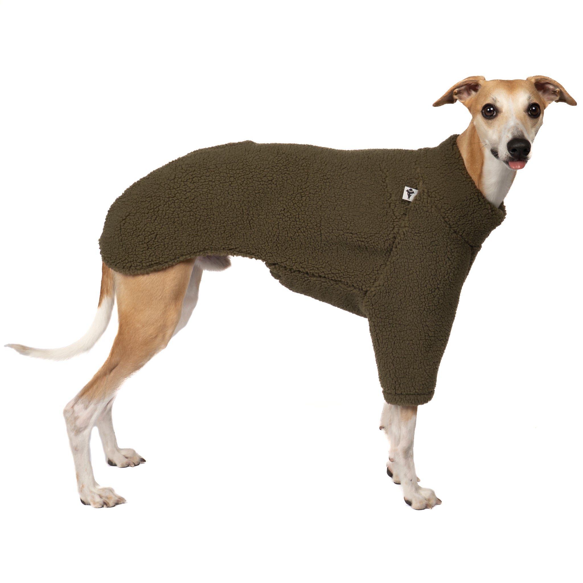 Teddy Pullover Windhund Dark Olive – Hundepullover und Hundekleidung für Dackel und Windhunde – Seitenansicht am Hund