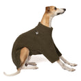 Load image into Gallery viewer, Teddy Pullover Windhund Dark Olive – Ganzkörperansicht – stilvolle Hundekleidung für Dackel und Windhunde
