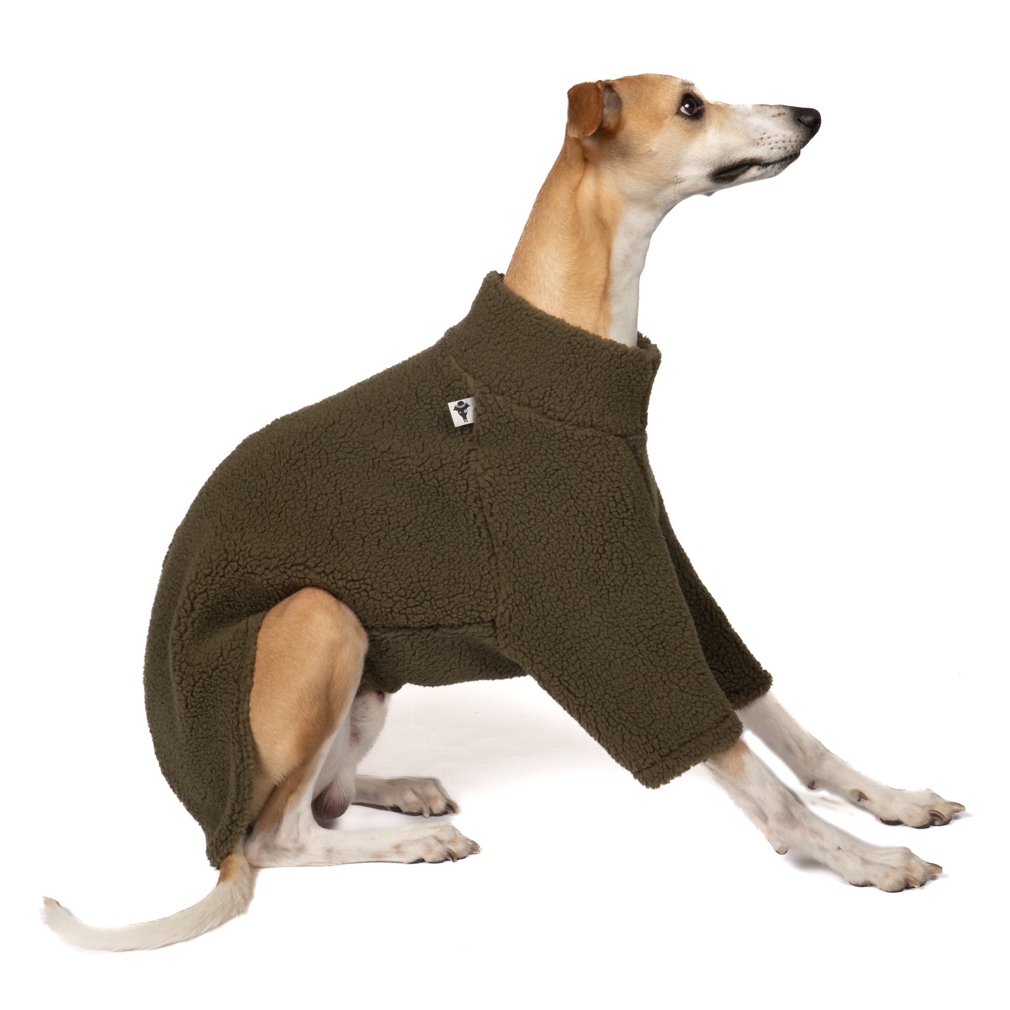 Teddy Pullover Windhund Dark Olive – Ganzkörperansicht – stilvolle Hundekleidung für Dackel und Windhunde