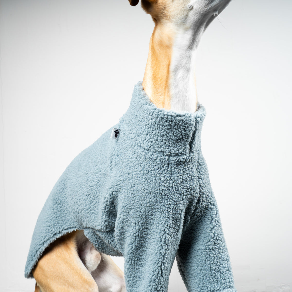 TEDDY PULLOVER Windhund Eisblau