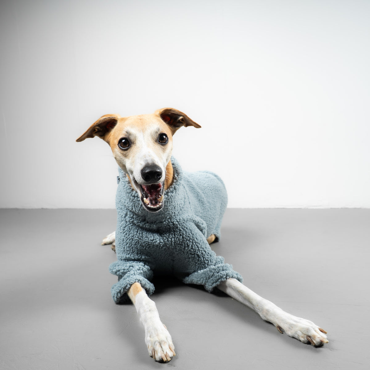 TEDDY PULLOVER Windhund Eisblau