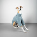Load image into Gallery viewer, TEDDY PULLOVER Windhund Eisblau
