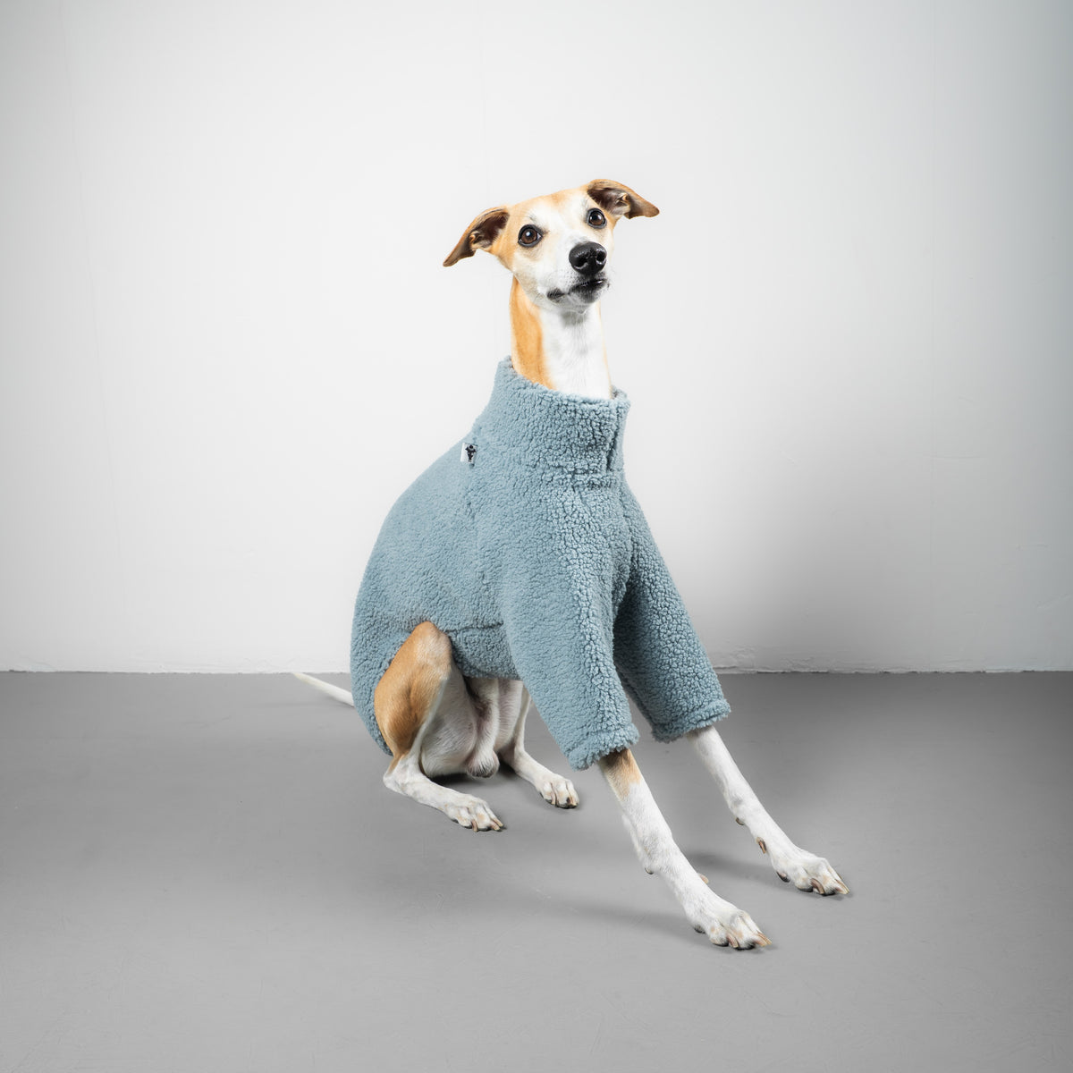 TEDDY PULLOVER Windhund Eisblau