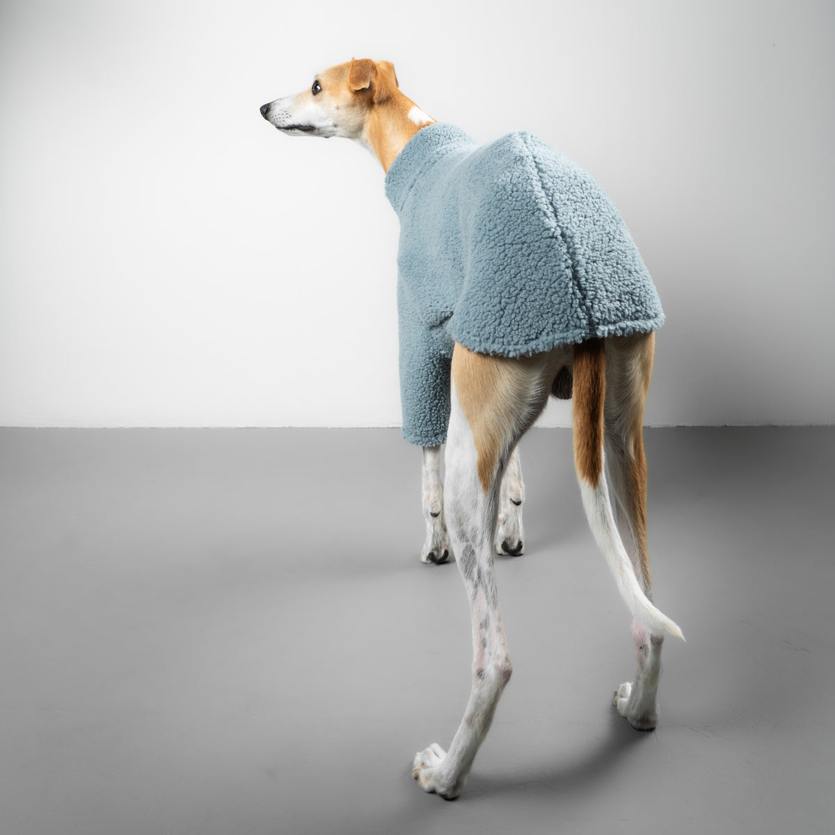TEDDY PULLOVER Windhund Eisblau