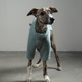 Load image into Gallery viewer, TEDDY PULLOVER Windhund Mint
