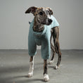Load image into Gallery viewer, TEDDY PULLOVER Windhund Mint
