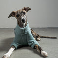 Load image into Gallery viewer, TEDDY PULLOVER Windhund Mint
