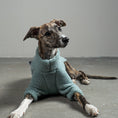 Load image into Gallery viewer, TEDDY PULLOVER Windhund Mint
