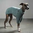 Load image into Gallery viewer, TEDDY PULLOVER Windhund Mint
