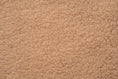 Load image into Gallery viewer, TEDDY SHIRT Windhund Sand Beige
