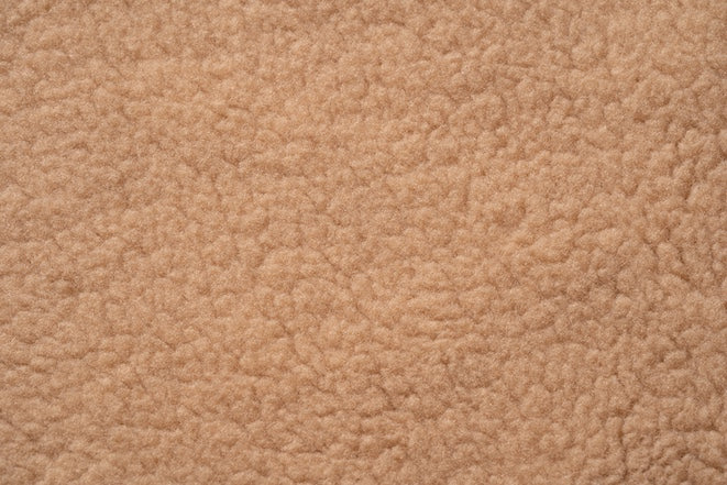 TEDDY SHIRT Windhund Sand Beige