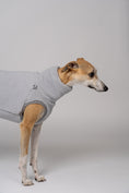 Load image into Gallery viewer, Weicher Stoff, eleganter Schnitt – Whippet im hellgrauen Teddy-Fleece
