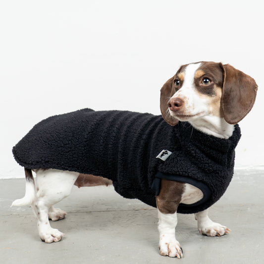 TEDDY SHIRT Dachshund Black