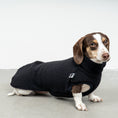 Load image into Gallery viewer, TEDDY SHIRT Dachshund Black
