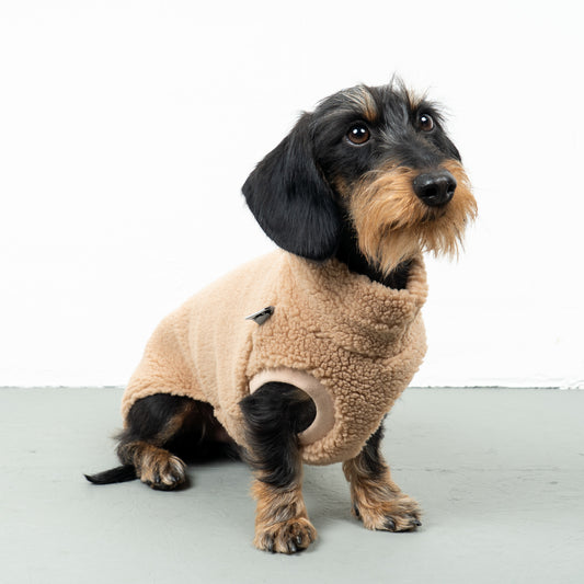 TEDDY SHIRT Dachshund Camel