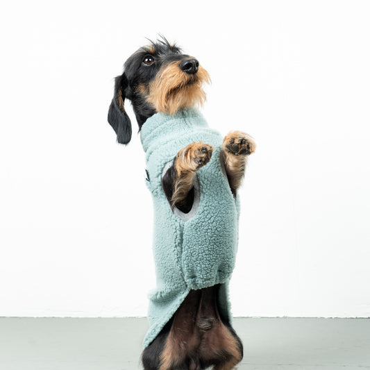 TEDDY SHIRT Dachshund Mint