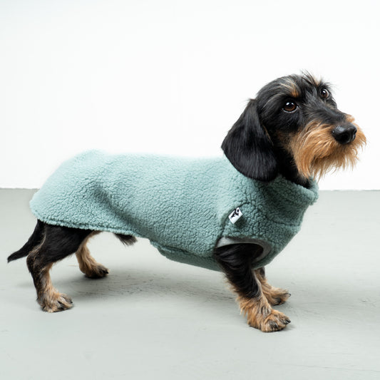 TEDDY SHIRT Dachshund Mint