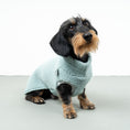 Load image into Gallery viewer, TEDDY SHIRT Dachshund Mint
