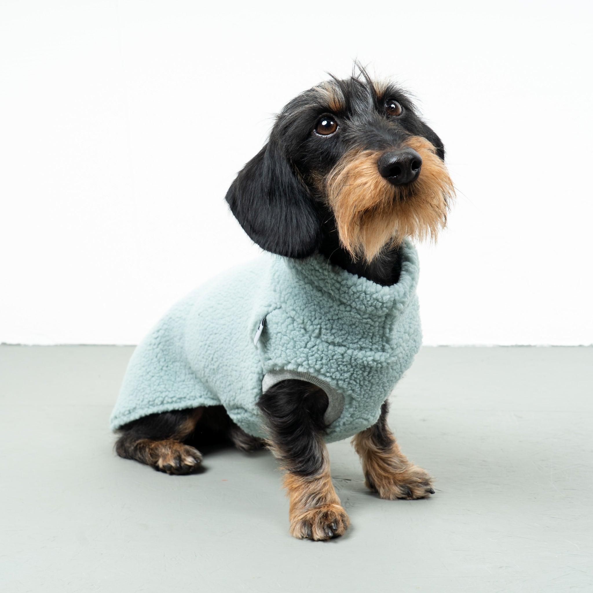TEDDY SHIRT Dachshund Mint