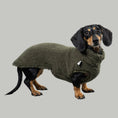 Load image into Gallery viewer, TEDDY SHIRT Dackel Olivgrün
