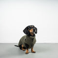 Load image into Gallery viewer, TEDDY SHIRT Dackel Olivgrün
