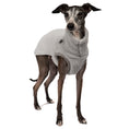 Load image into Gallery viewer, Teddy Shirt Iggy Light Grey – ergonomischer Schnitt für Dackel und Windspiele – handgefertigte Hundekleidung
