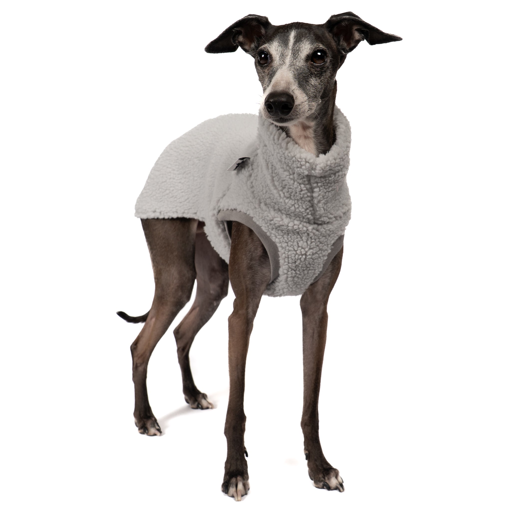 Teddy Shirt Iggy Light Grey – ergonomischer Schnitt für Dackel und Windspiele – handgefertigte Hundekleidung