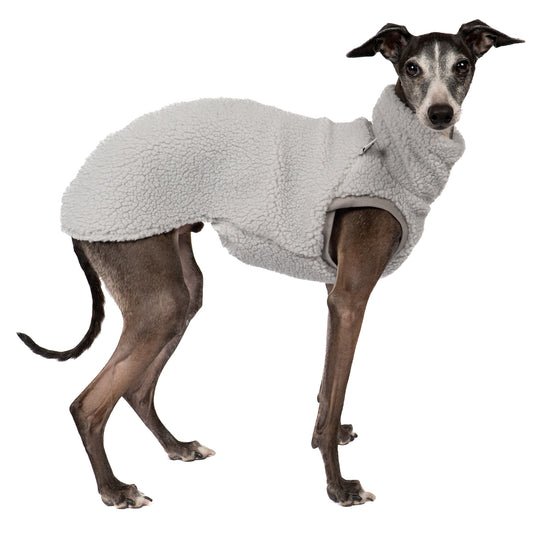 Teddy Shirt Iggy Light Grey – hochwertige Hundekleidung für Dackel, Windspiele und Windhunde von Karma Hund Berlin – Ganzkörperansicht am Hund