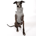 Load image into Gallery viewer, Teddy Shirt Iggy Light Grey – optimale Passform für Windhunde, Windspiele und Dackel
